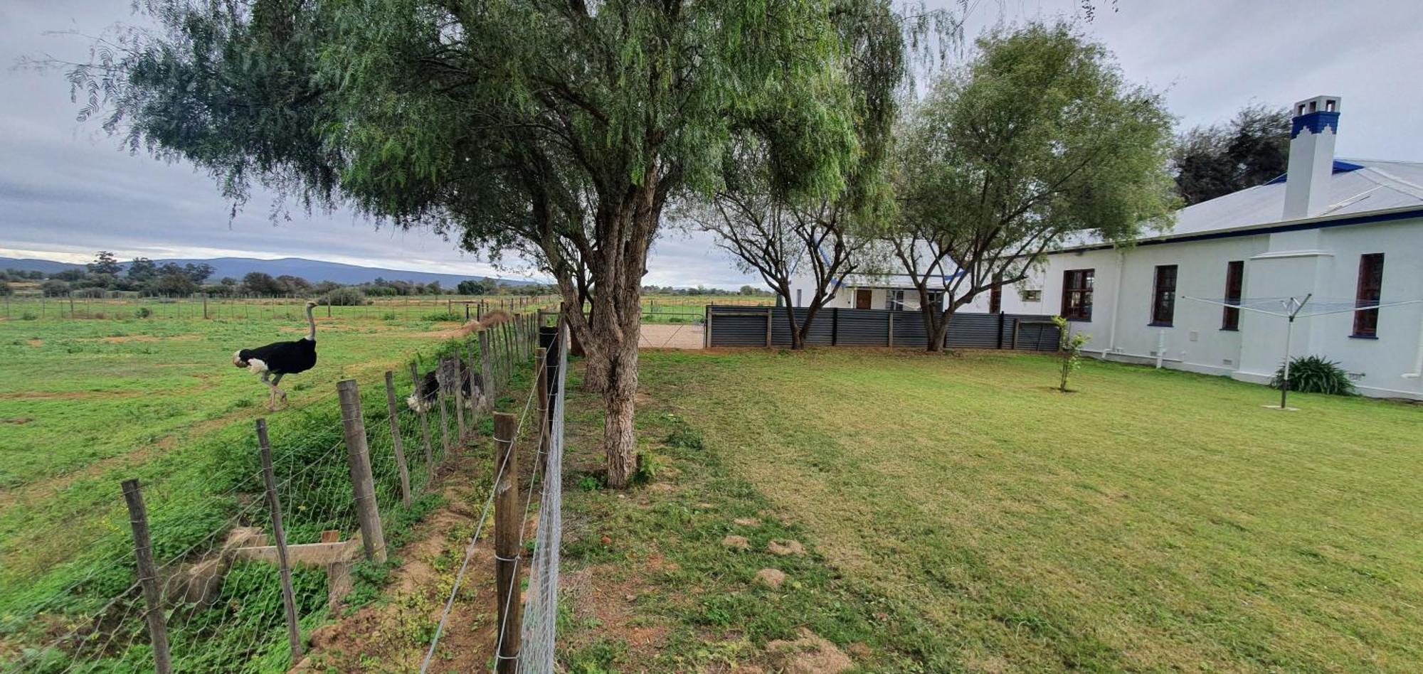 Karoo Leeu Self Catering Villa Oudtshoorn Exterior foto